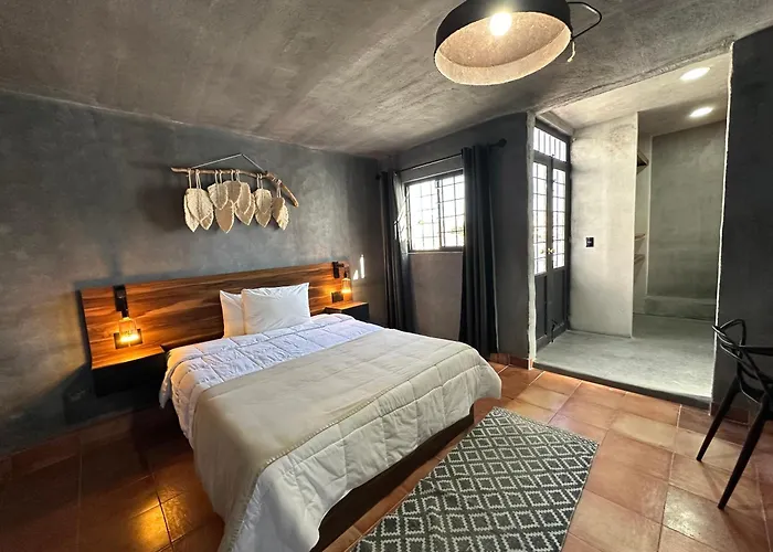 Hotel Damiana Boutique Querétaro