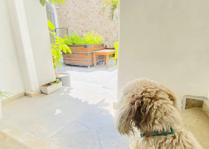Kuku Ruku Hotel Querétaro